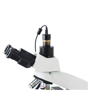 Камера ToupCam SCMOS03100KPA