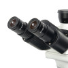Микроскоп биологический Микромед 1 (вариант 3 LED inf) тринокулярный