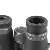 Бинокль Veber Silver Line II 8x50WP