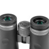Бинокль Veber Silver Line II 10x42WP