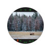 Прицел цифровой Veber DigitalHunt R25X4-32 ночной